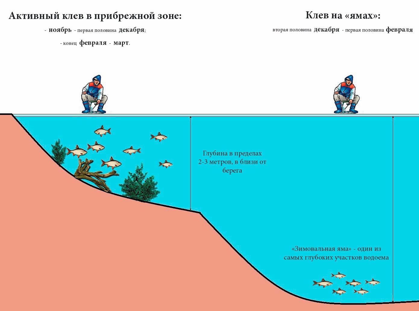 полезные советы для ловли леща полезные советы для ловли леща